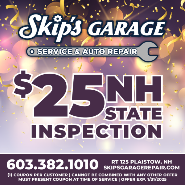 Skips_Jan_Inspection