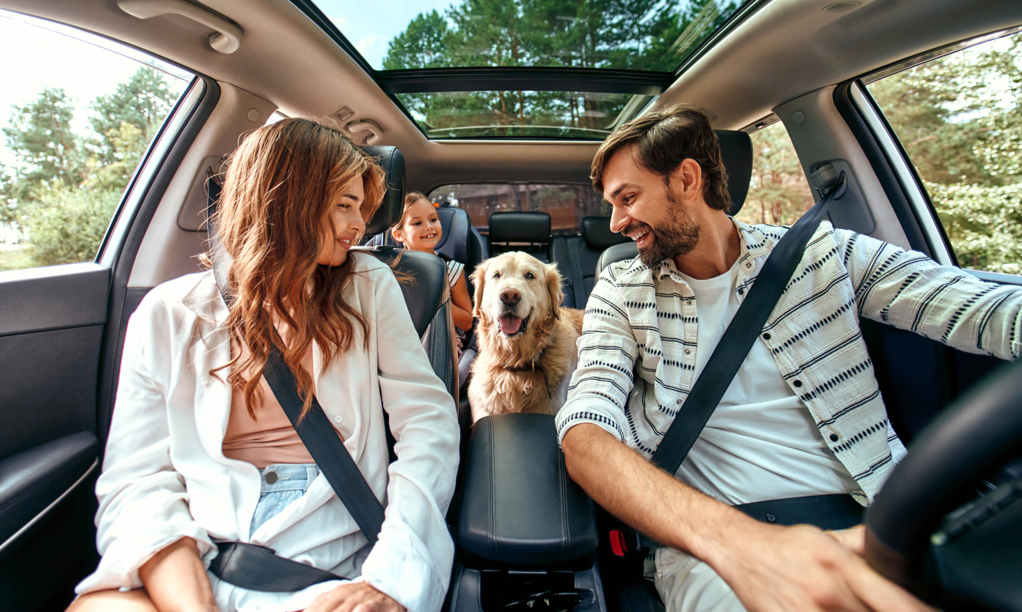 Family with dog in the car The whole family is driving for the weekend. Mom and Dad with their daughter and a Labrador dog are sitting in the car.